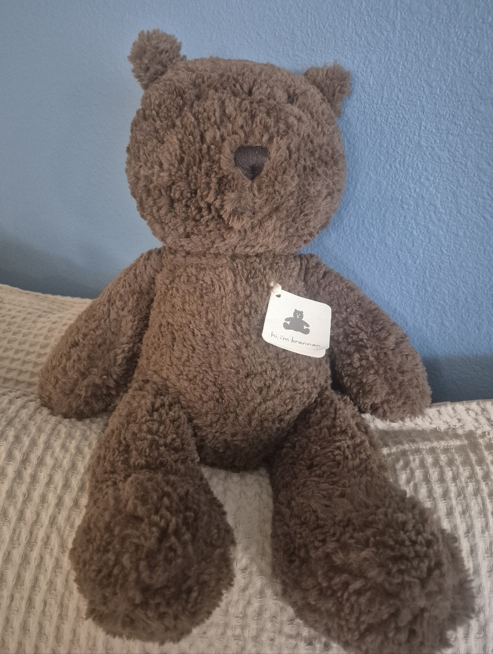 Baby Gap Teddy Bear Plush